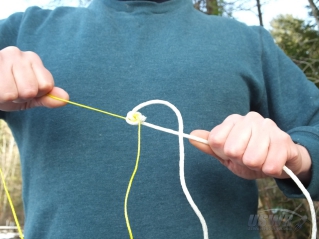 The fishing line pulls a much stronger string which then pulls a heavy rope into the tree.